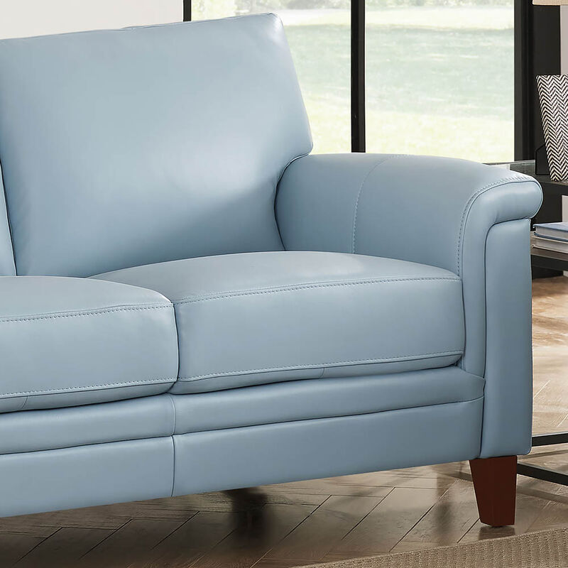 Westcott Top Grain Leather Loveseat
