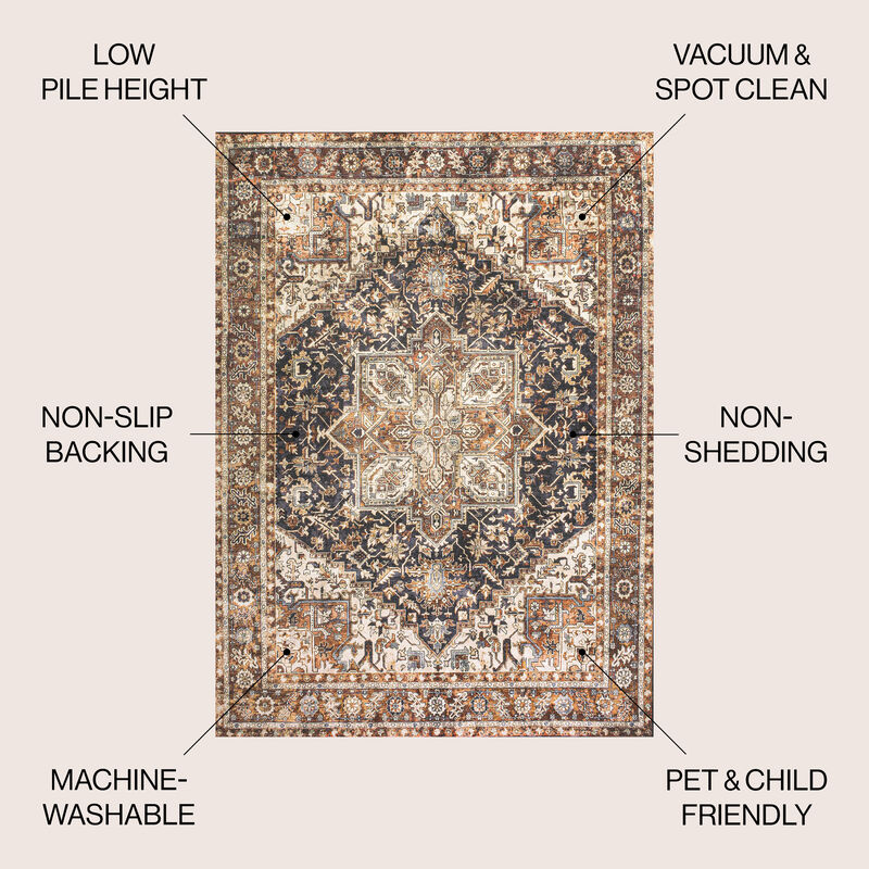 Chapell Chenille Mid-Century Medallion Machine-Washable Area Rug
