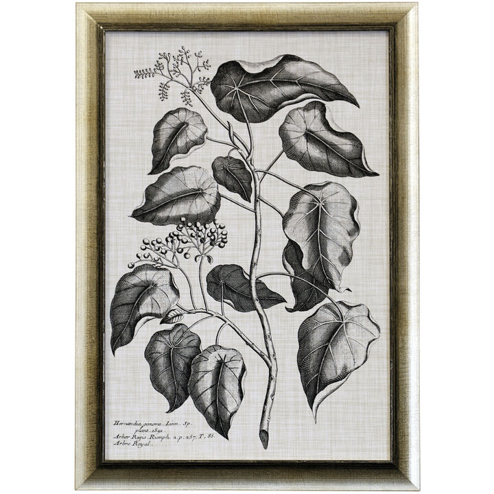 Black & Oatmeal Botanical VIII