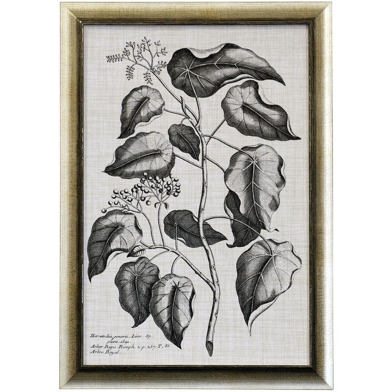 Black & Oatmeal Botanical VIII