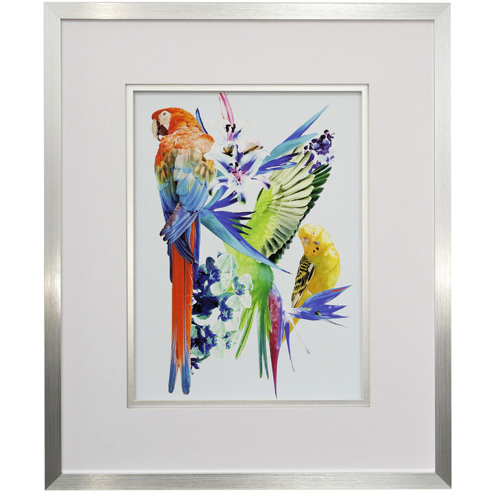 Birds of Paraidse I Framed Print