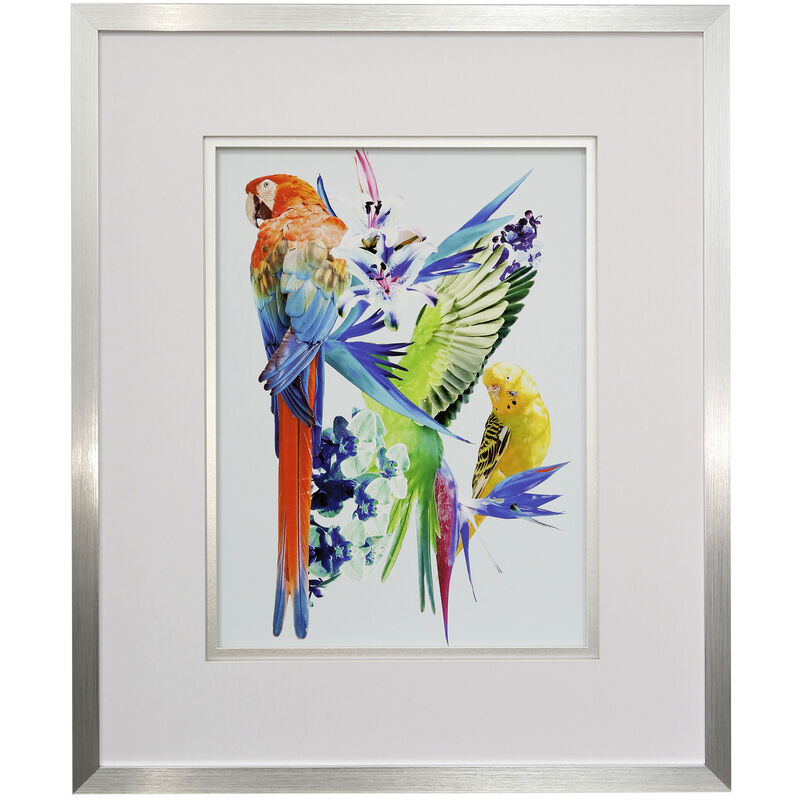 Birds of Paraidse I Framed Print