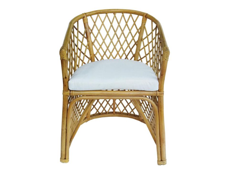 Rattan Palm Chair