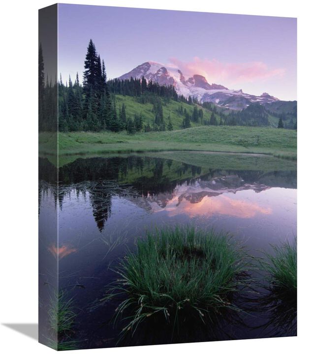 Mt Rainier reflected in lake, Mt Rainier National Park, Washington-Canvas Art-12x16