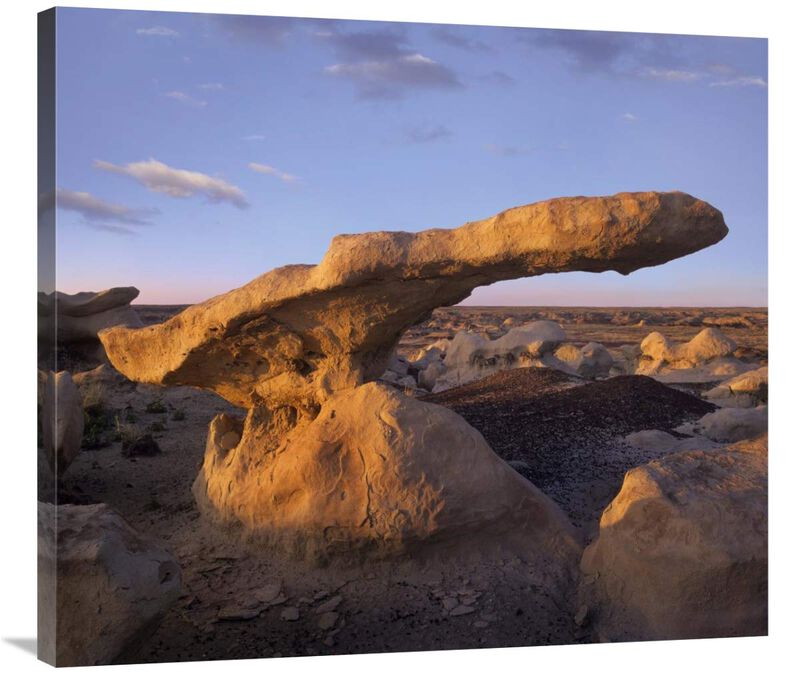 Eroded rock, Bisti Badlands, Bisti Wilderness Area, New Mexico-Canvas Art-36x32.04