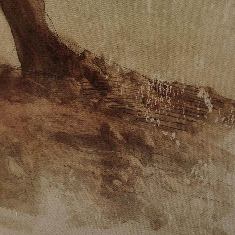 Undone Cypress By C. D'Esprit