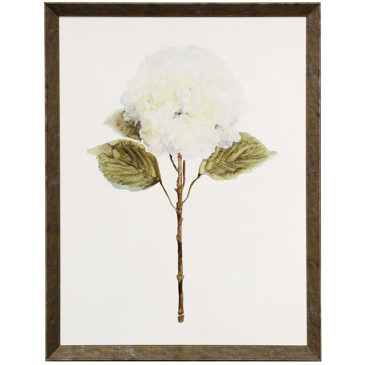 White Blossom III Framed Print