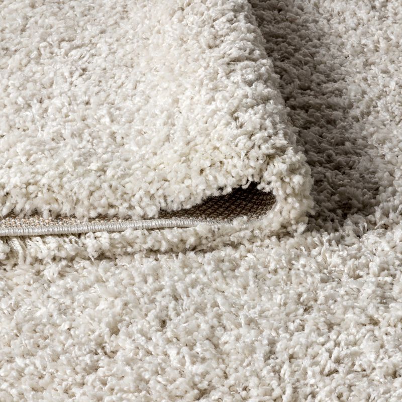 Mercer Shag Plush Tassel Area Rug
