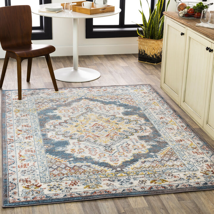 Ankara AKR-2300 7'10' x 10'3' Blue Rug