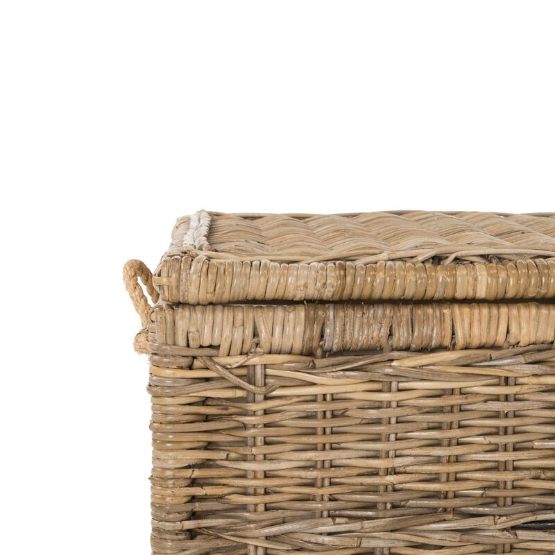 Caden Wicker Storage Trunk