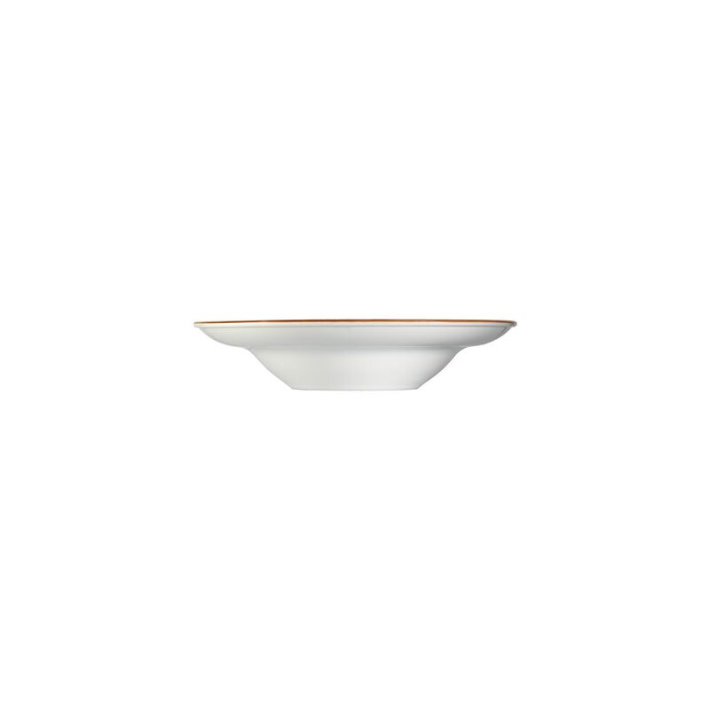Terracota dia.9.5" h:2" 14 oz. Round Terracotta Porcelain Bowl (Set of 2)