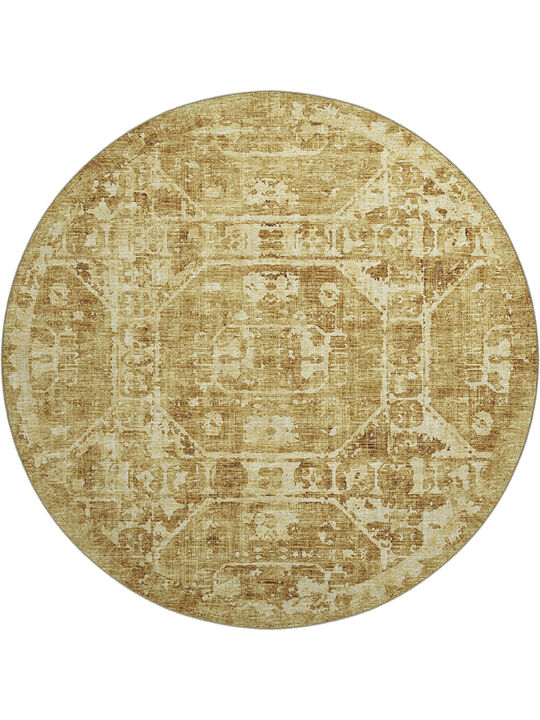 Aberdeen AB2 Gold 8' Rug