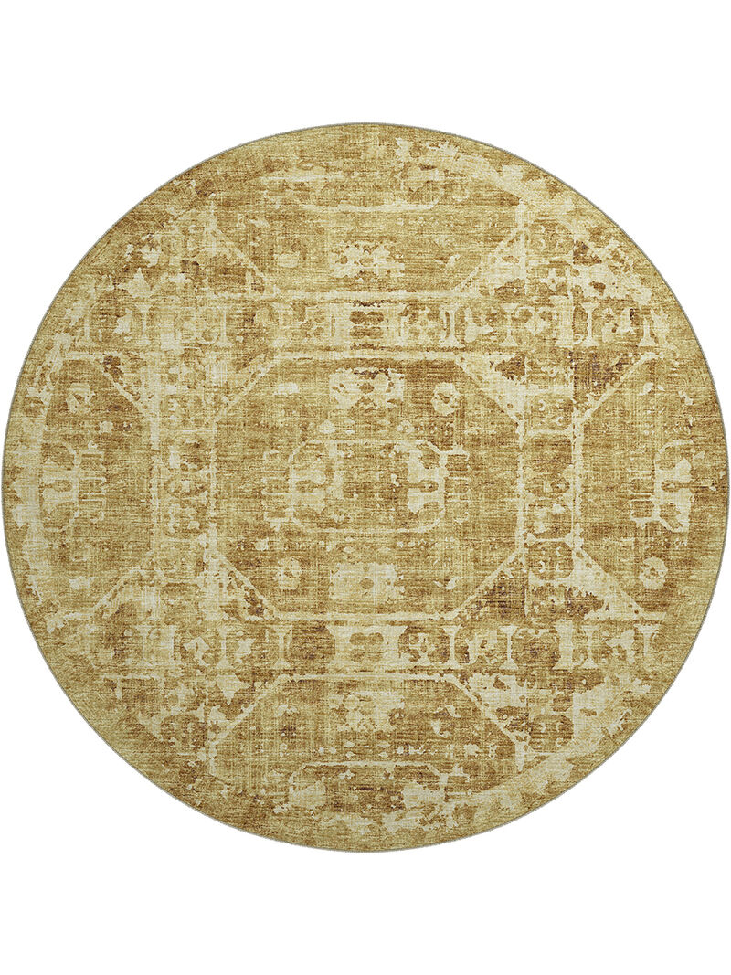 Aberdeen AB2 Gold 8' Rug
