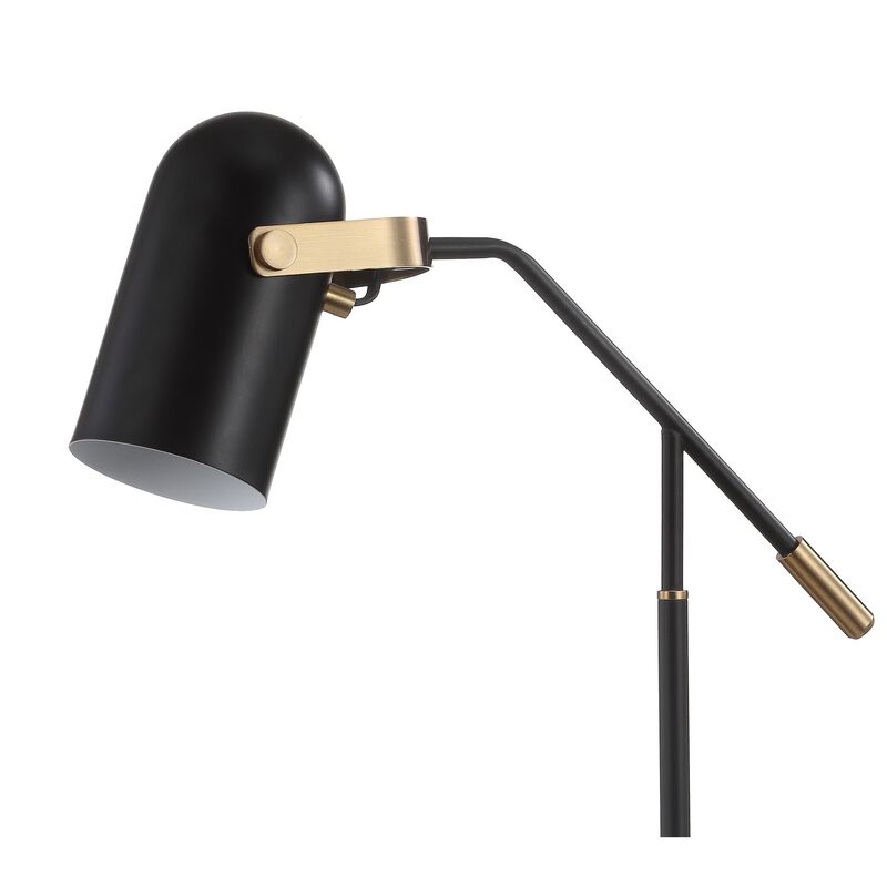 Edison Metal LED Task Lamp