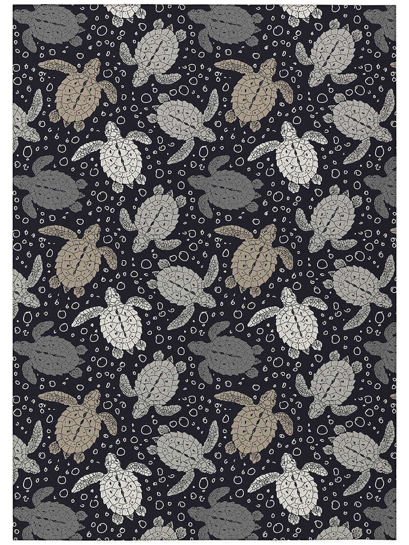 Seabreeze SZ13 Black 10' x 14' Rug
