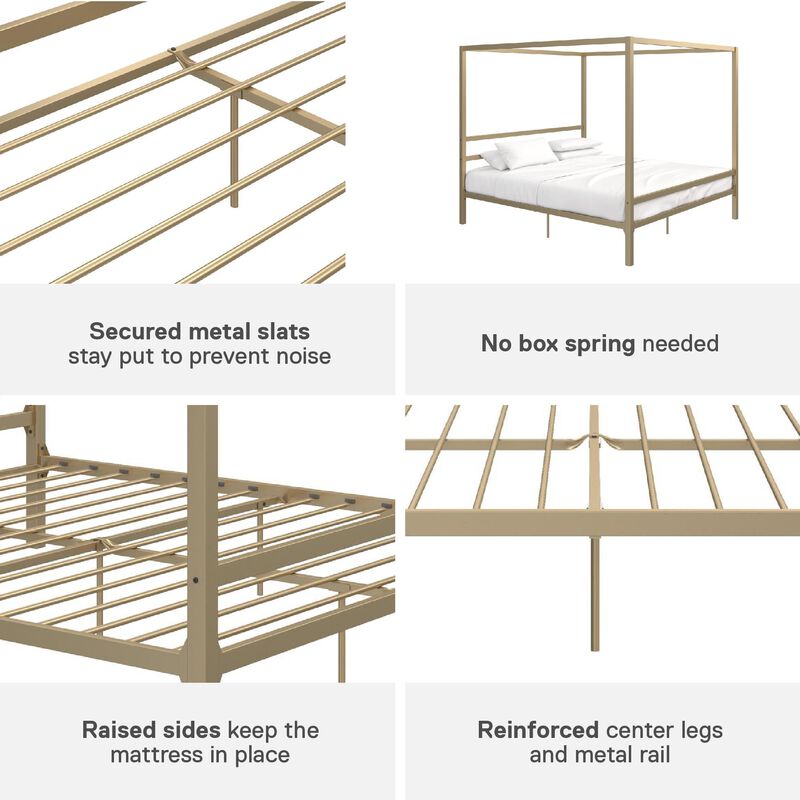 Modern Canopy Metal Bed, King, Gold