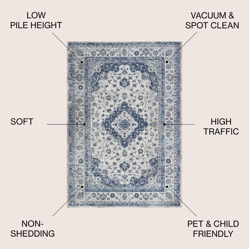 Indhira Ornate Medallion Persian Area Rug