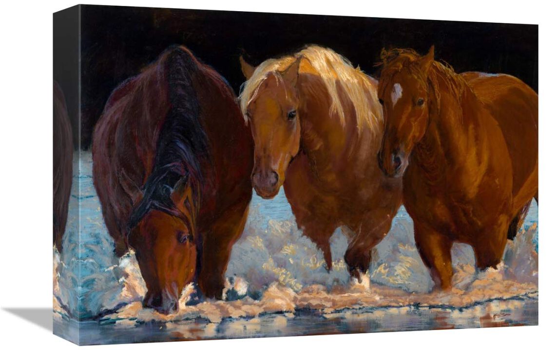 Shadows-Canvas Art-16x12