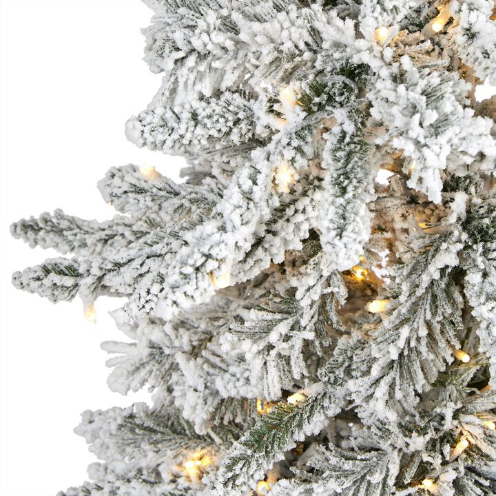 Hivvago 5 Feet Flocked Grand Northern Rocky Fir Artificial Christmas Tree with 650 Warm Micro (Multifunction with Remote Control) LED Lights, Instant Connect Technology and 386 Bendable Branches