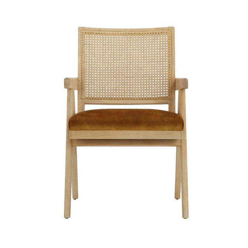 Isha 24 Inch Armchair with Cane Back, Gold Brown Velvet, Brown Wood Frame - Benzara