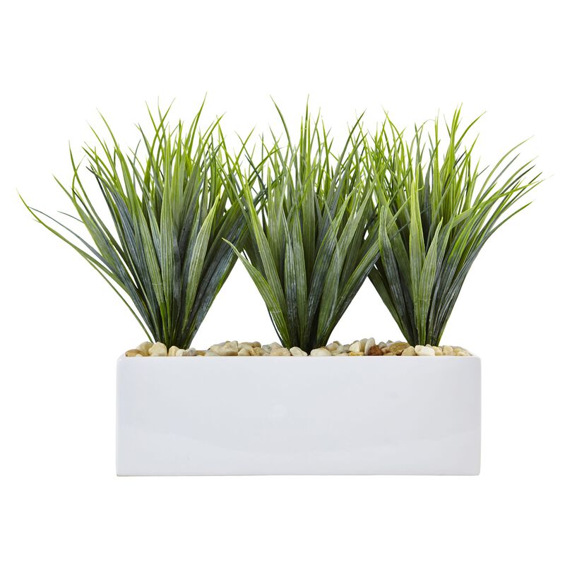 Hivvago Vanilla Grass in Rectangular Planter