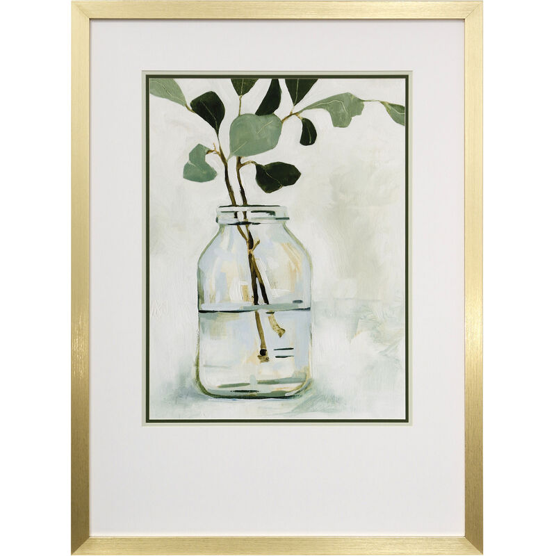 Eucalyptus Branch II Framed Print