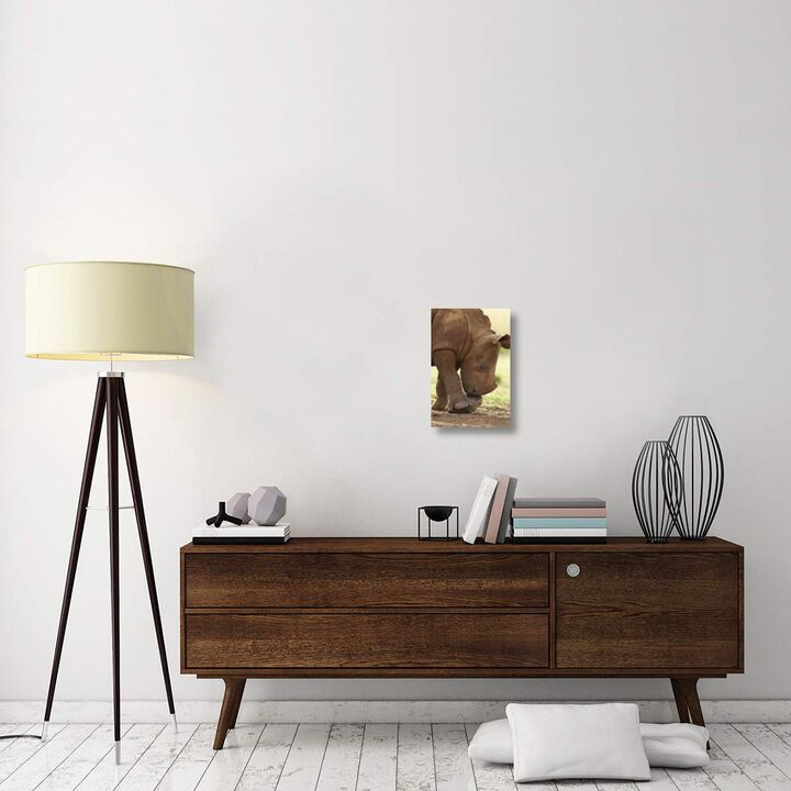 White Rhinoceros calf playing with a rock, Rhino and Lion Nature Reserve, South Africa-Canvas Art-12x18