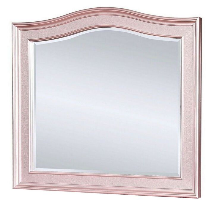 46 Inch Contemporary Style Wooden Frame Mirror, Rose Pink-Benzara