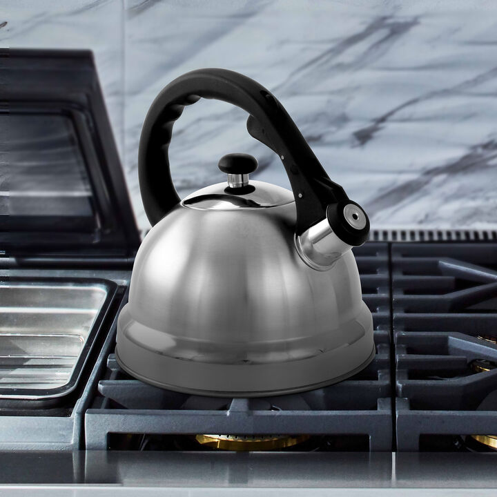 Mr. Coffee Claredale 2.2 Quart Brushed Stainless Steel Whistling Tea Kettle with Nylon Handle