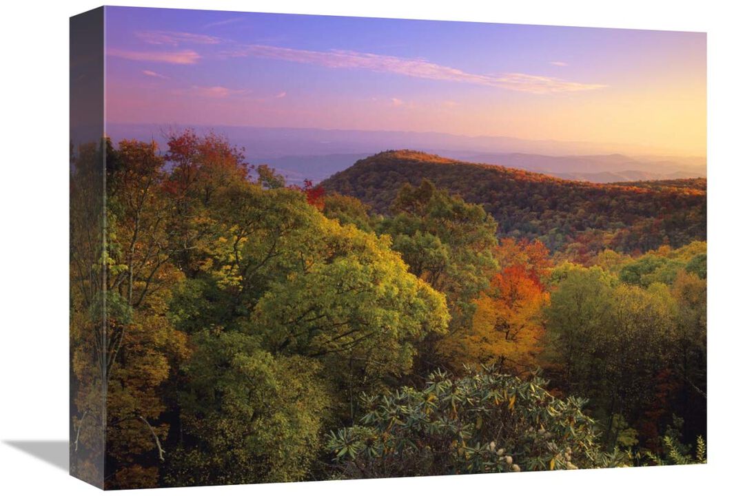 Blue Ridge Mountains with deciduous forests in autumn, North Carolina-Canvas Art-16x12