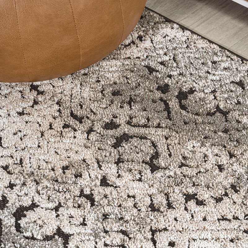Duenas High-Low Shabby Damask Area Rug