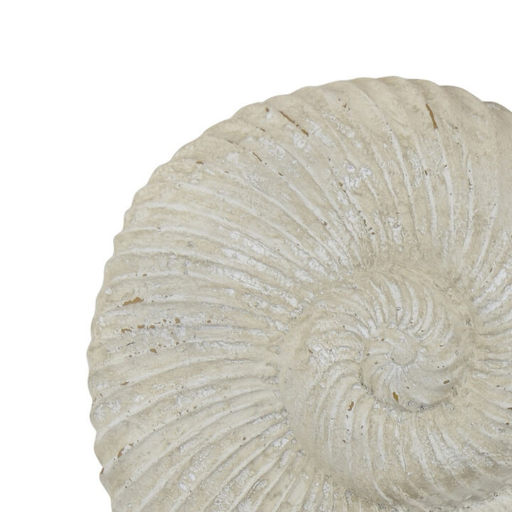 Seashell Tabletop Accent Decor, Faux Fossil, Rich White Resin 21 Inch - Benzara