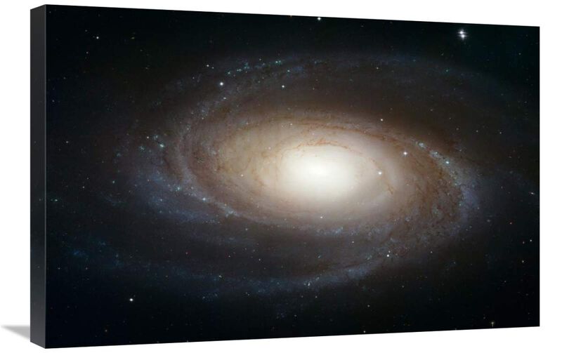 Spiral Galaxy M81-Canvas Art-30x20