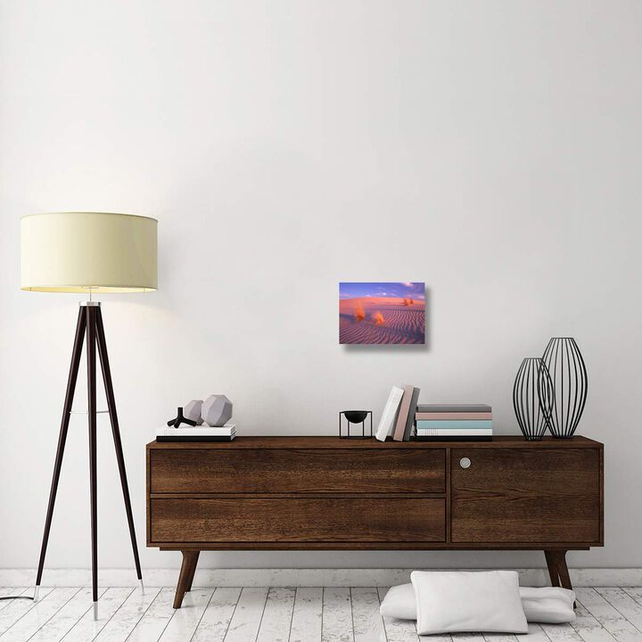 Gypsum dunes, Guadalupe Mountains National Park, Texas-Canvas Art-16x12