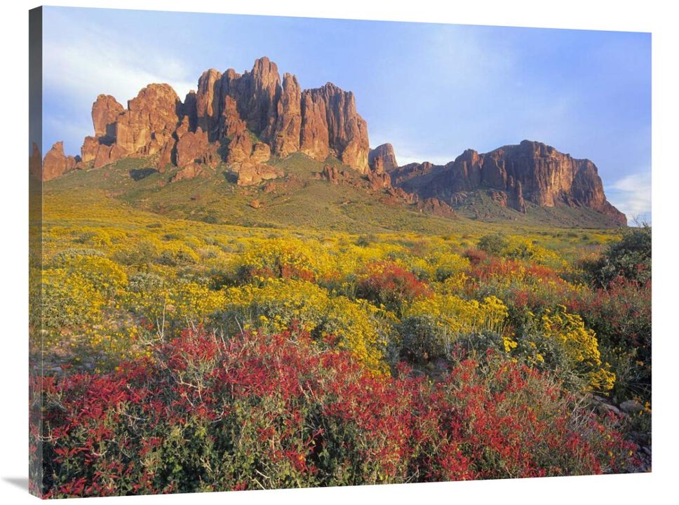 Chuparosa and Brittlebush Superstition Mountains, Arizona-Canvas Art-40x30