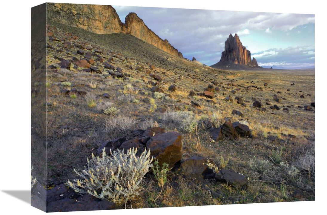 Shiprock, the basalt core of an extinct volcano, New Mexico-Canvas Art-16x12