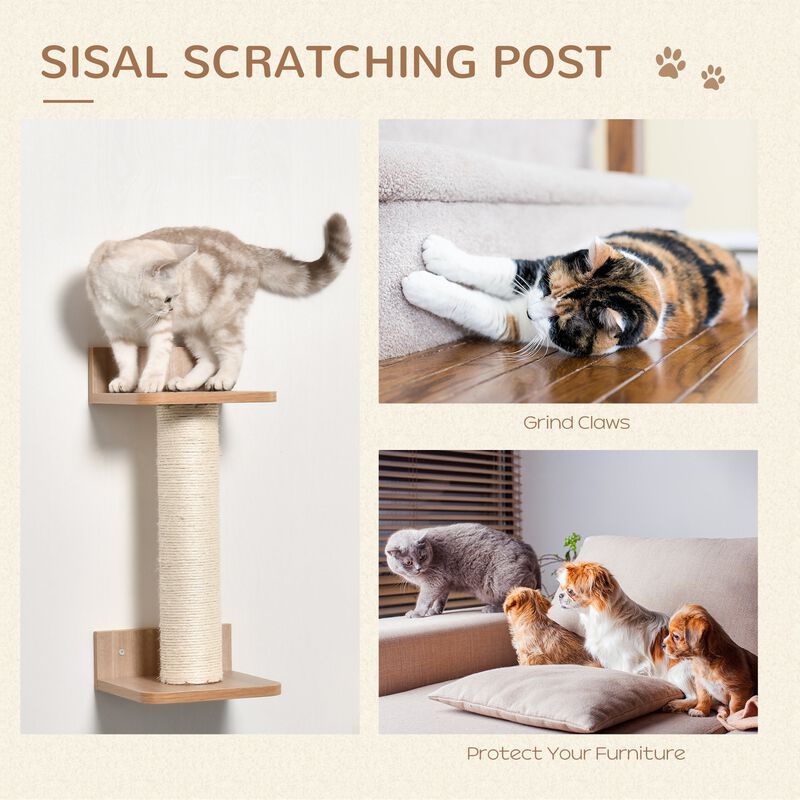 Beige Cat Playground: 4-Piece Wall-Mounted Activity Set with Hammock