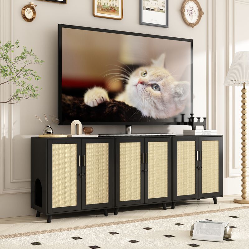 Modern Cat Litter Box Enclosure for Rooms, Black Hidden Litter Box Furniture Cat Washroom Storage with Lock Sisal Door