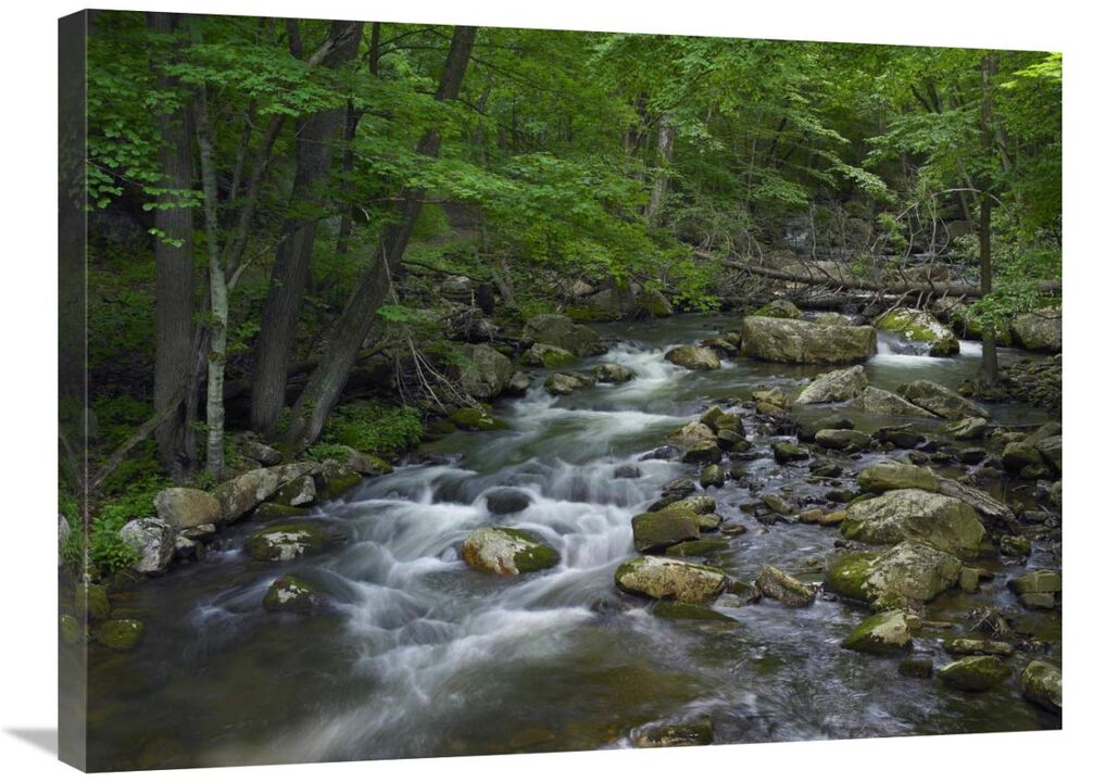 Little Stony Creek flowing through Jefferson National Forest, Virginia-Canvas Art-32x24
