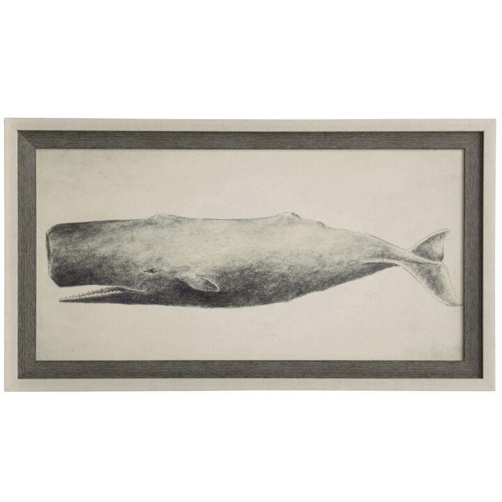Whale Wall Art
