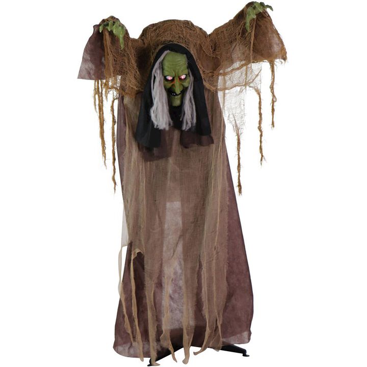 Haunted Hill Farm 57 Animated Hunchback Swamp Witch