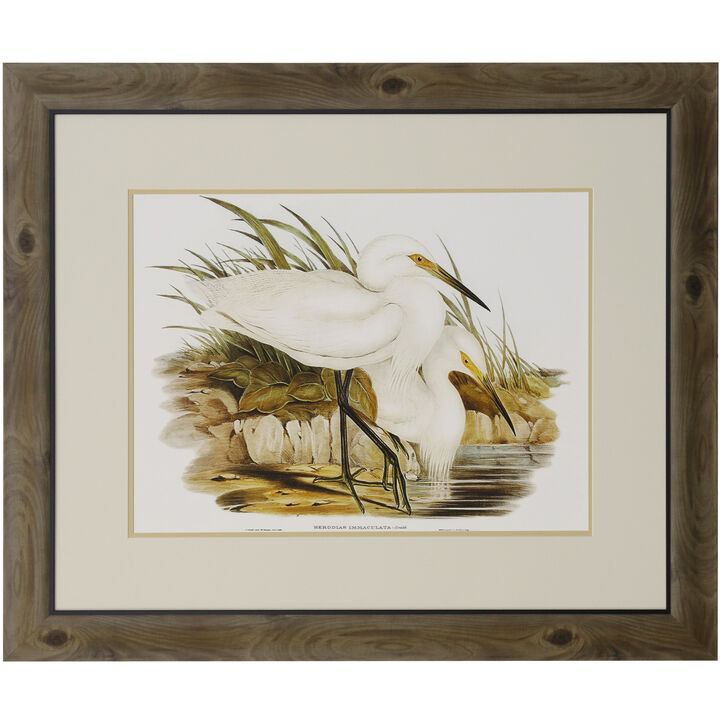 Waterbird Pairing I