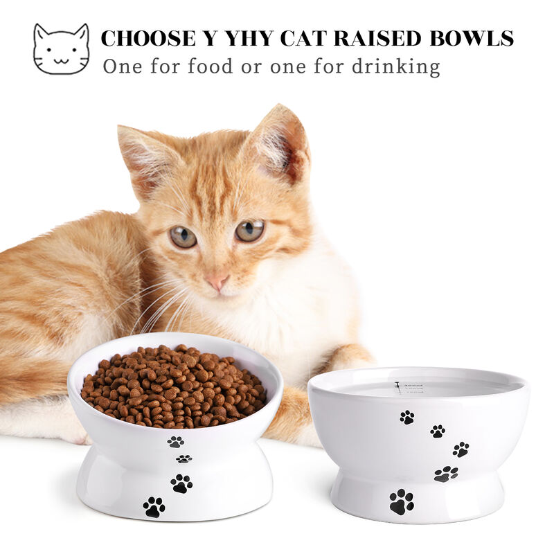 Y YHY Raised Cat Food and Water Bowl Set, Tilted Elevated Cat Food Bowls No Spill, Ceramic Cat Food Feeder Bowl Collection, Pet Bowl for Flat, Set of 2, White