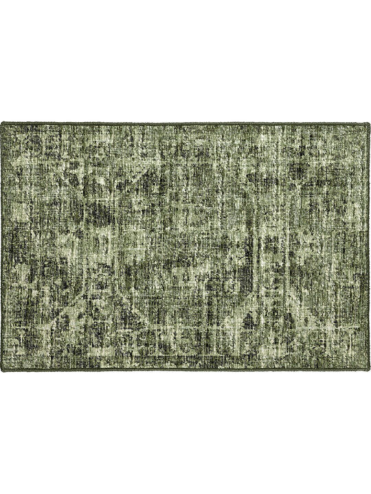 Aberdeen AB2 Cactus 20" x 30" Rug