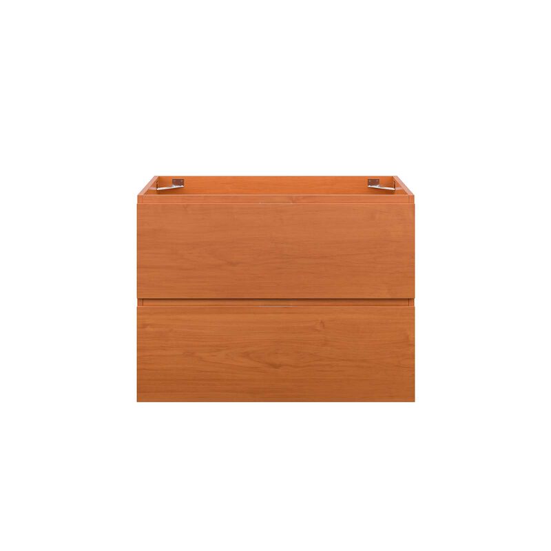 Scenic 30" Wall-Mount Bathroom Vanity Cabinet
