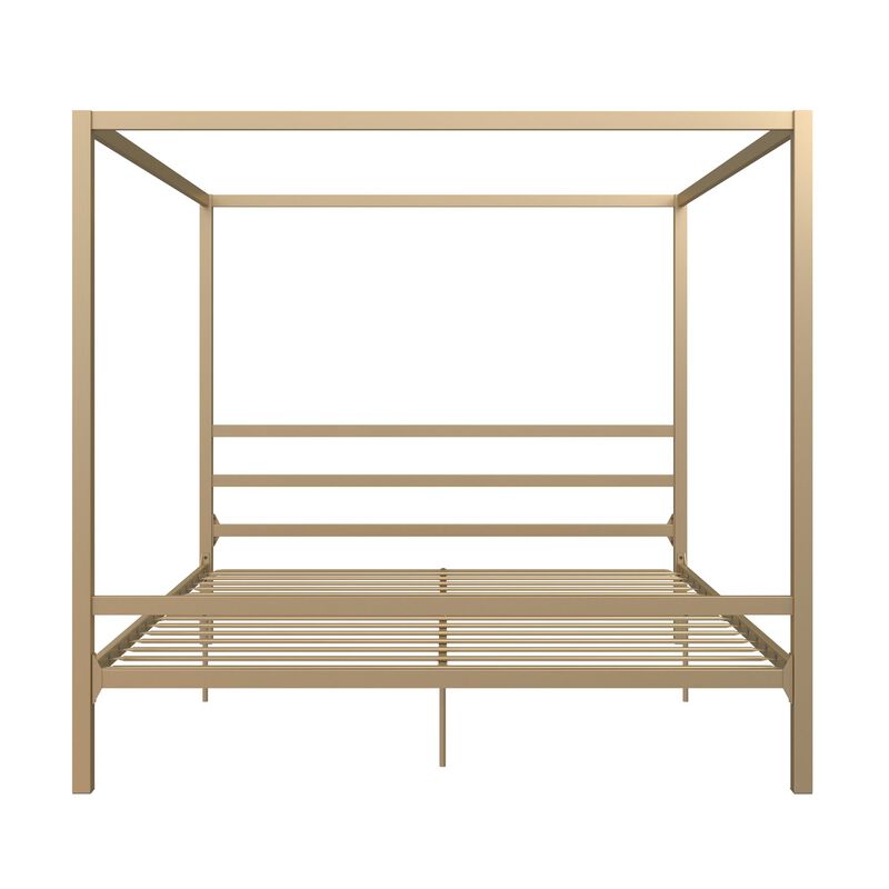 Modern Canopy Metal Bed, King, Gold