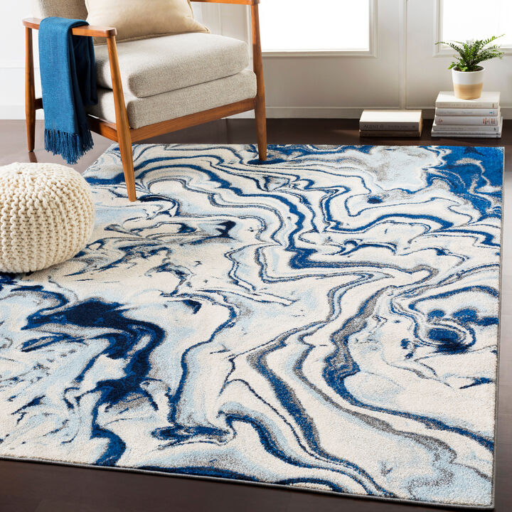 Chelsea CSA-2320 5'3' x 7'3' Blue Rug