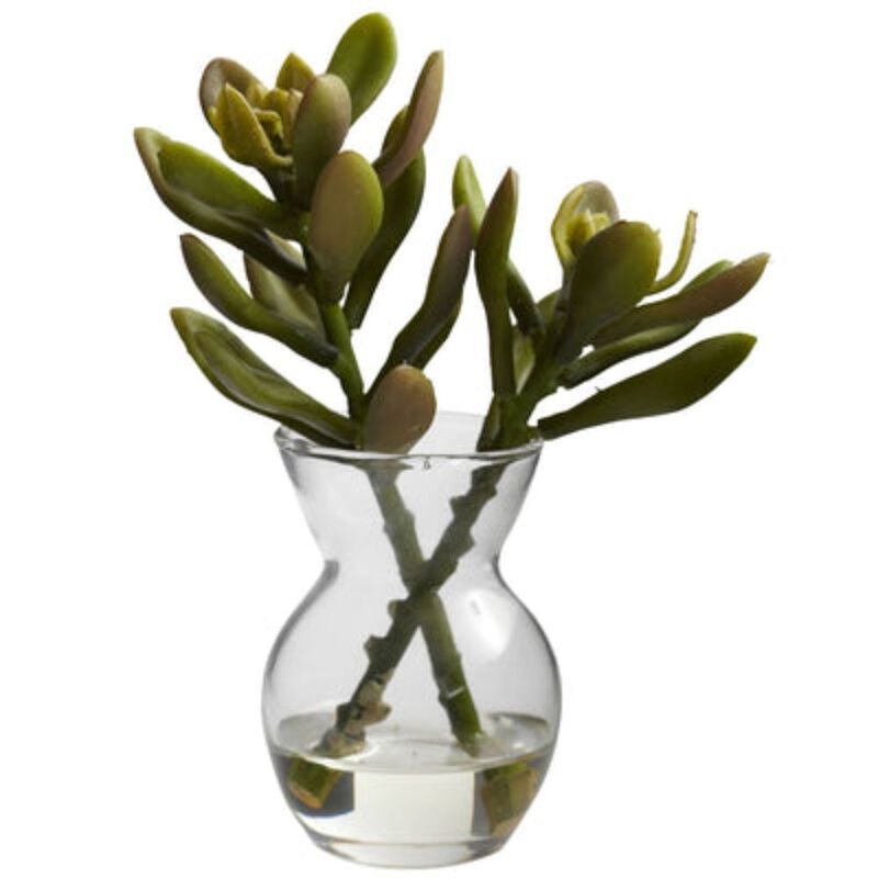 Hivvago Succulent Arrangements (Set of 3)