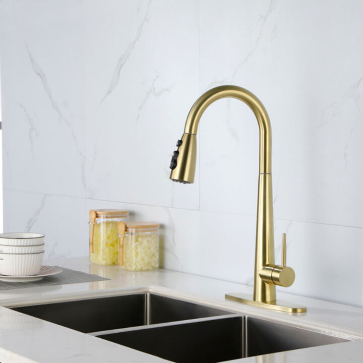 Kitchen Sink Faucet with Pull-Out Sprayer, Single Handle, Fingerprint-Resistant Finish