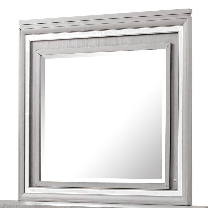 Padua 49 in. W x 40 in. H Rectangle Framed Washed Gray Dresser Mirror
